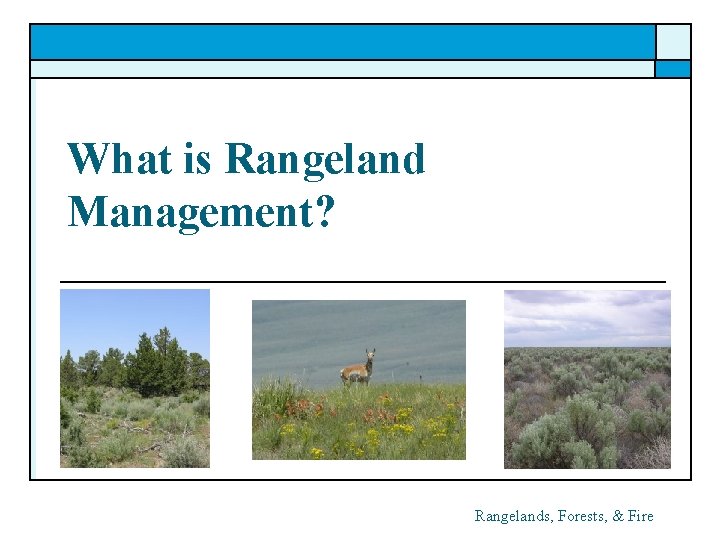 What is Rangeland Management? Rangelands, Forests, & Fire 