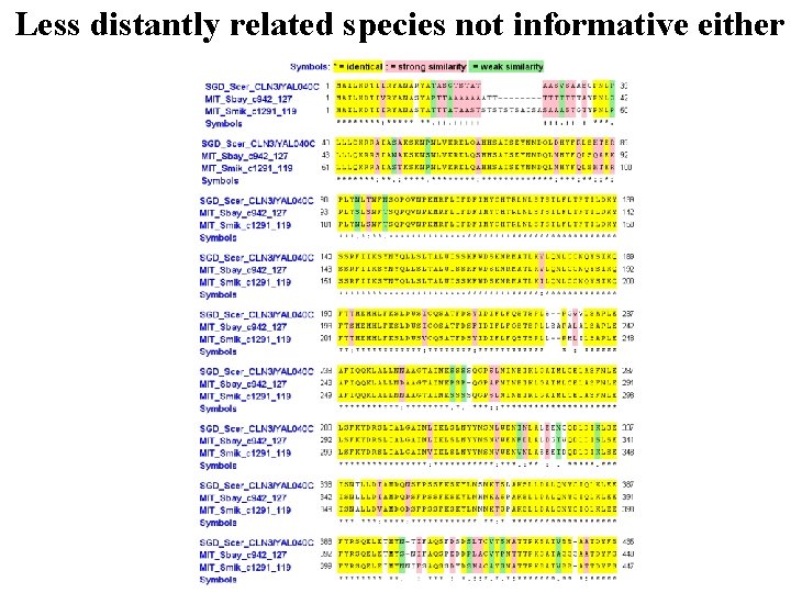 Less distantly related species not informative either 