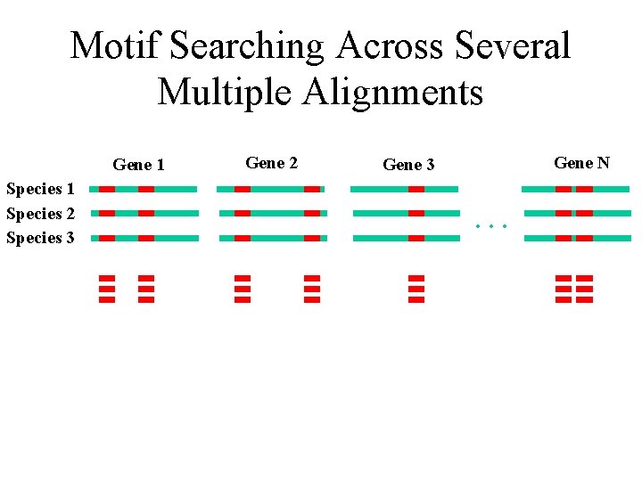 Motif Searching Across Several Multiple Alignments Gene 1 Species 2 Species 3 Gene 2