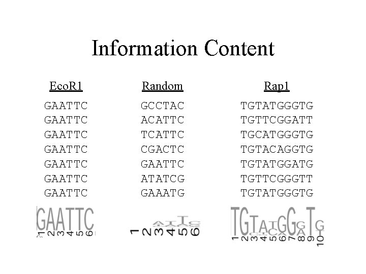 Information Content Eco. R 1 Random Rap 1 GAATTC GAATTC GCCTAC ACATTC TCATTC CGACTC