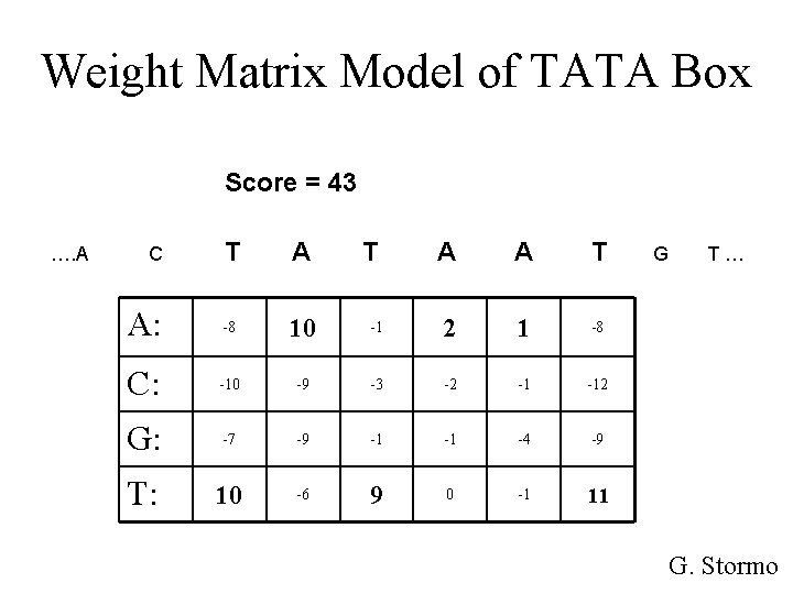Weight Matrix Model of TATA Box Score = 43 …. A T A A: