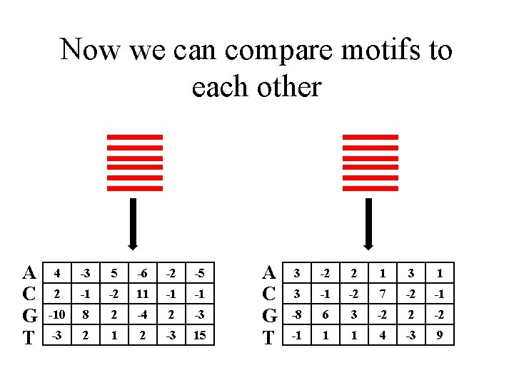 Now we can compare motifs to each other A C G T 4 -3