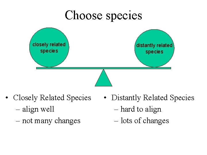Choose species closely related species • Closely Related Species – align well – not
