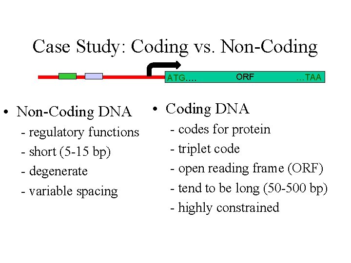 Case Study: Coding vs. Non-Coding ATG…. • Non-Coding DNA - regulatory functions - short