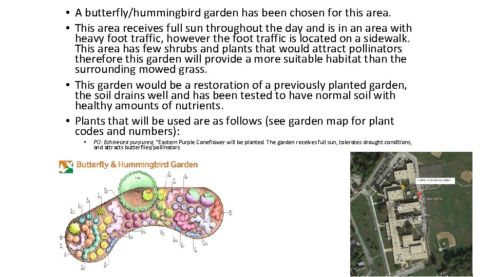  • A butterfly/hummingbird garden has been chosen for this area. • This area