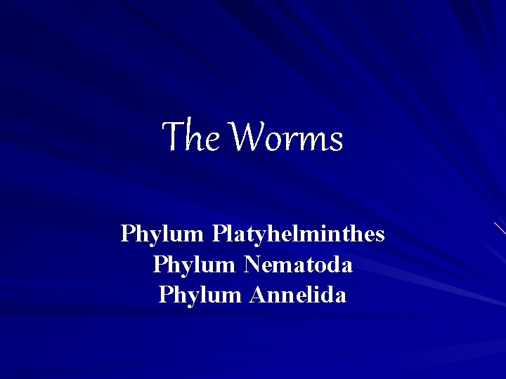 The Worms Phylum Platyhelminthes Phylum Nematoda Phylum Annelida 