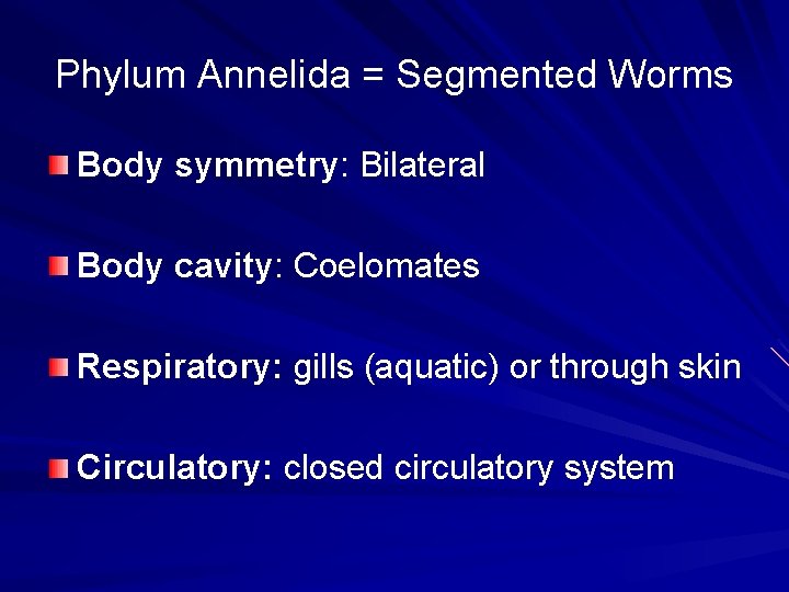 Phylum Annelida = Segmented Worms Body symmetry: Bilateral Body cavity: Coelomates Respiratory: gills (aquatic)