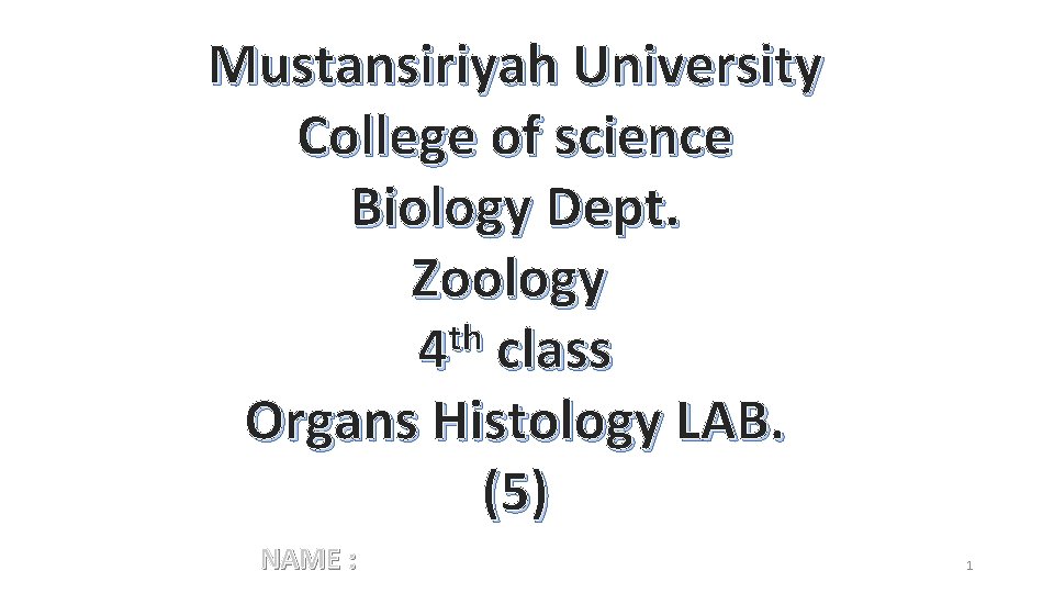 Mustansiriyah University College of science Biology Dept. Zoology th 4 class Organs Histology LAB.