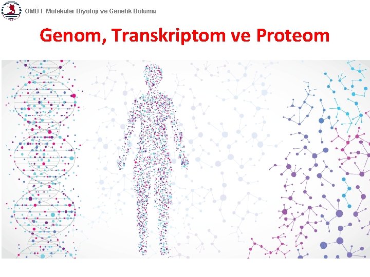 OMÜ I Moleküler Biyoloji ve Genetik Bölümü Genom, Transkriptom ve Proteom 