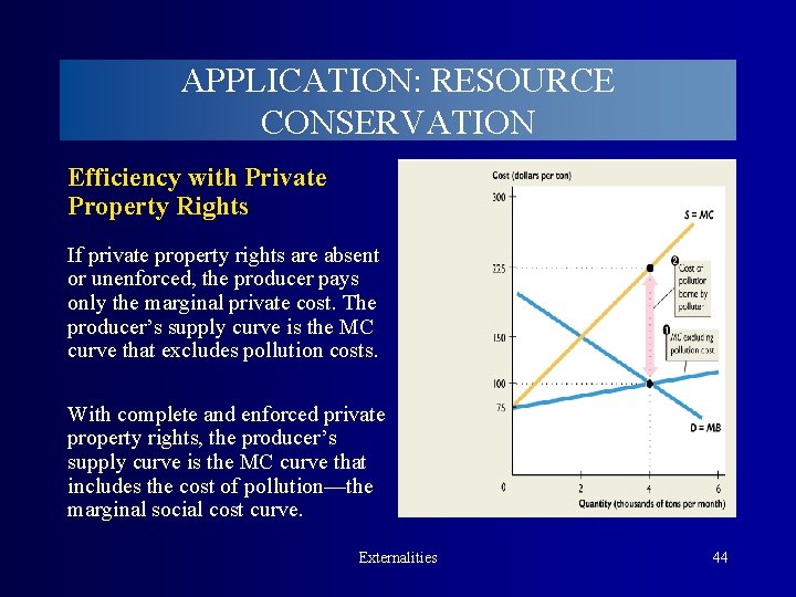 APPLICATION: RESOURCE CONSERVATION Efficiency with Private Property Rights If private property rights are absent