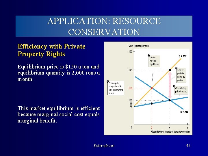 APPLICATION: RESOURCE CONSERVATION Efficiency with Private Property Rights Equilibrium price is $150 a ton