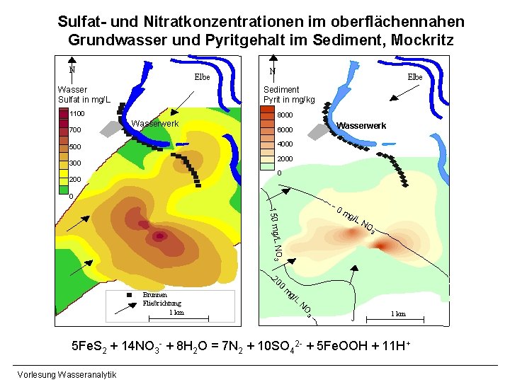 Sulfat- und Nitratkonzentrationen im oberflächennahen Grundwasser und Pyritgehalt im Sediment, Mockritz N River Elbe Sulfat- und Nitratkonzentrationen im oberflächennahen Grundwasser und Pyritgehalt im Sediment, Mockritz N River Elbe