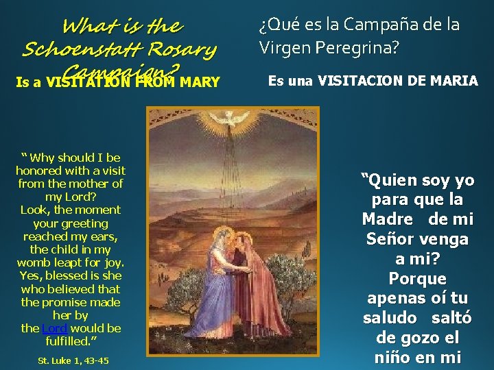 What is the Schoenstatt Rosary Campaign? Is a VISITATION FROM MARY “ Why should