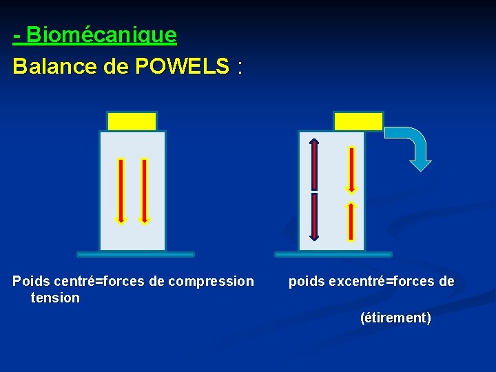 - Biomécanique Balance de POWELS : Poids centré=forces de compression tension poids excentré=forces de