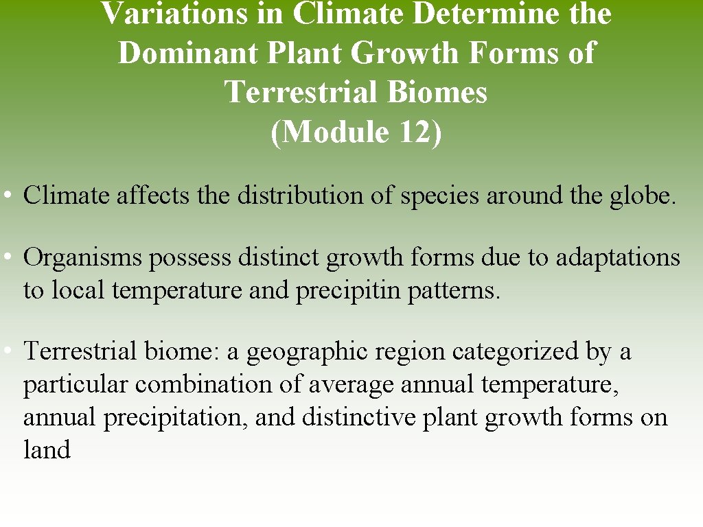 Variations in Climate Determine the Dominant Plant Growth Forms of Terrestrial Biomes (Module 12)