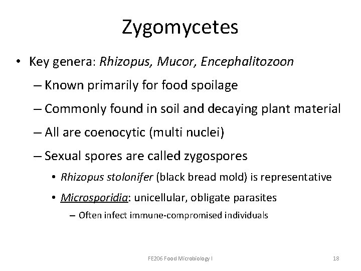 Zygomycetes • Key genera: Rhizopus, Mucor, Encephalitozoon – Known primarily for food spoilage –