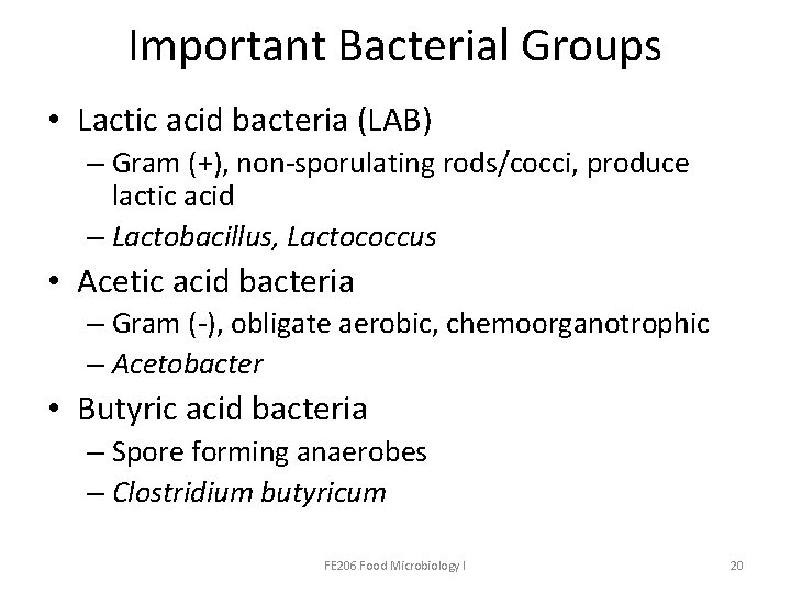 Important Bacterial Groups • Lactic acid bacteria (LAB) – Gram (+), non-sporulating rods/cocci, produce