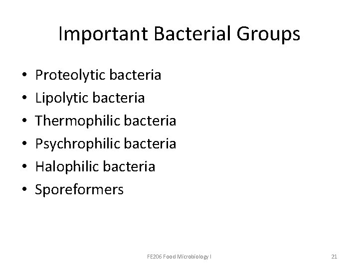 Important Bacterial Groups • • • Proteolytic bacteria Lipolytic bacteria Thermophilic bacteria Psychrophilic bacteria