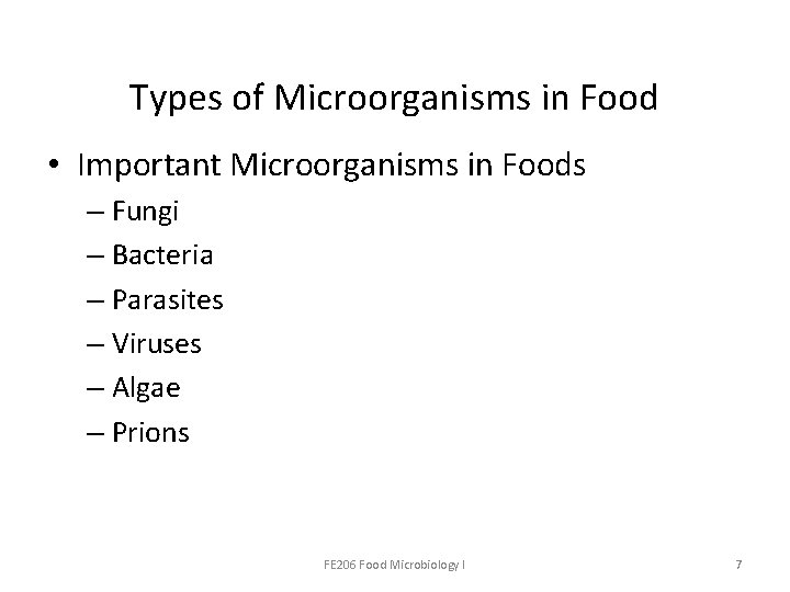 Types of Microorganisms in Food • Important Microorganisms in Foods – Fungi – Bacteria