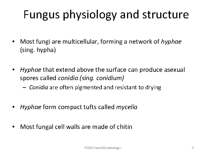 Fungus physiology and structure • Most fungi are multicellular, forming a network of hyphae