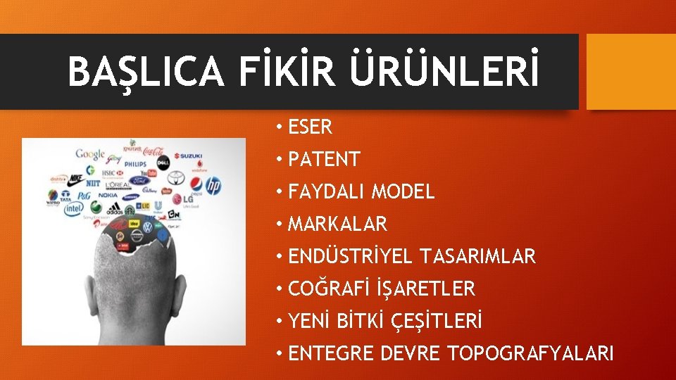 BAŞLICA FİKİR ÜRÜNLERİ • ESER • PATENT • FAYDALI MODEL • MARKALAR • ENDÜSTRİYEL