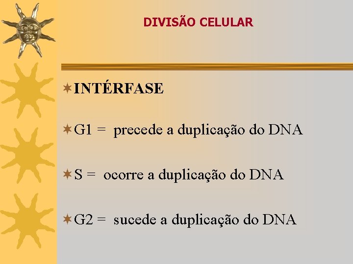 DIVISÃO CELULAR ¬INTÉRFASE ¬G 1 = precede a duplicação do DNA ¬S = ocorre