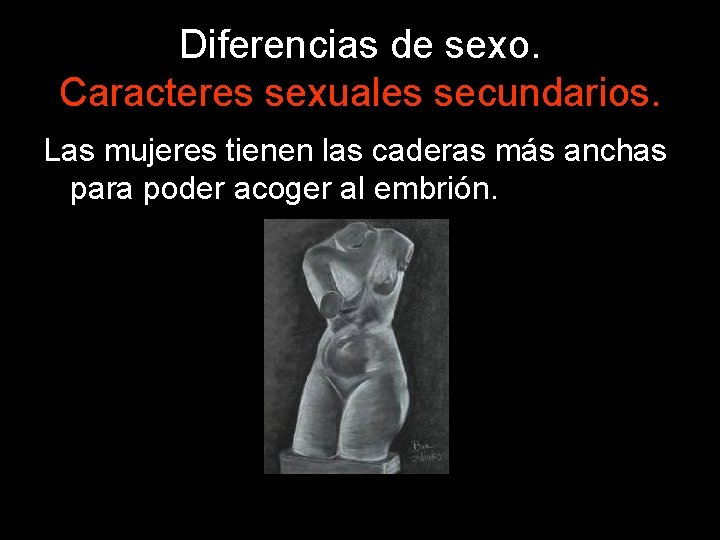 Diferencias de sexo. Caracteres sexuales secundarios. Las mujeres tienen las caderas más anchas para