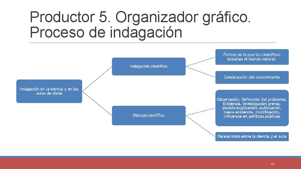 Productor 5. Organizador gráfico. Proceso de indagación 41 