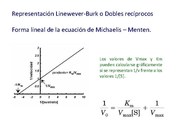 Representación Linewever-Burk o Dobles recíprocos Forma lineal de la ecuación de Michaelis – Menten.