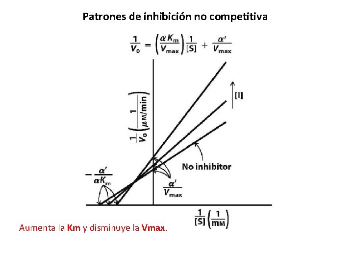 Patrones de inhibición no competitiva Aumenta la Km y disminuye la Vmax. 