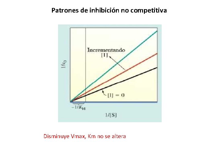 Patrones de inhibición no competitiva Disminuye Vmax, Km no se altera 