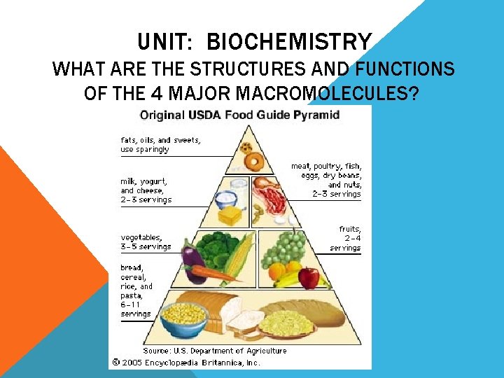 UNIT: BIOCHEMISTRY WHAT ARE THE STRUCTURES AND FUNCTIONS OF THE 4 MAJOR MACROMOLECULES? 