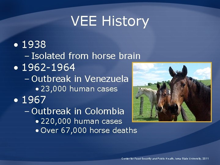 VEE History • 1938 – Isolated from horse brain • 1962 -1964 – Outbreak