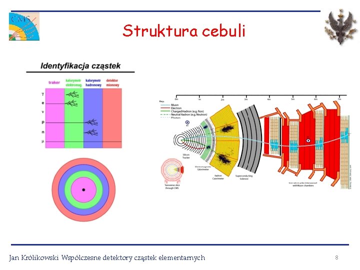 Struktura cebuli Jan Królikowski Wspólczesne detektory cząstek elementarnych 8 