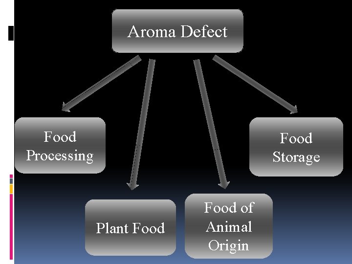 Aroma Defect Food Processing Food Storage Plant Food of Animal Origin 