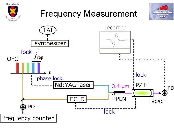 Frequency Measurement ECAC 