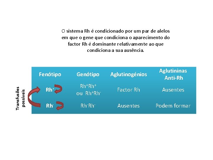 Transfusões possíveis O sistema Rh é condicionado por um par de alelos em que