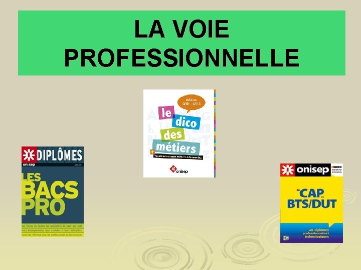 LA VOIE PROFESSIONNELLE 