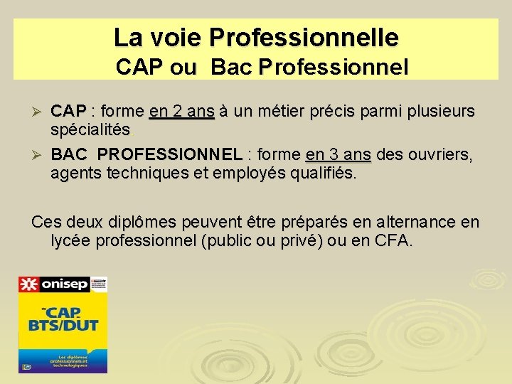 La voie Professionnelle CAP ou Bac Professionnel CAP : forme en 2 ans à
