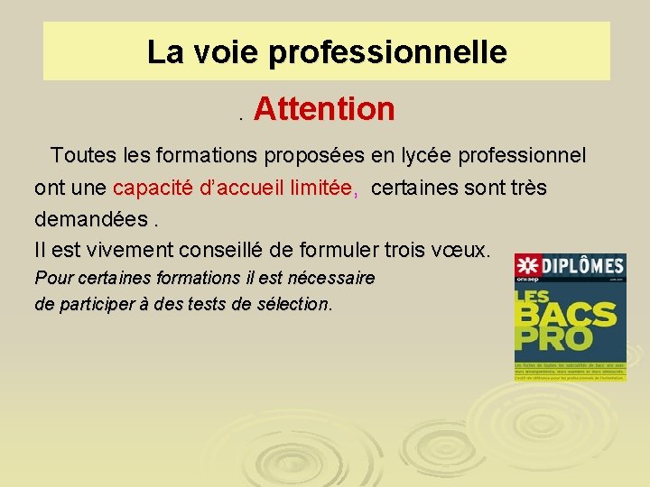 La voie professionnelle. Attention Toutes les formations proposées en lycée professionnel ont une capacité