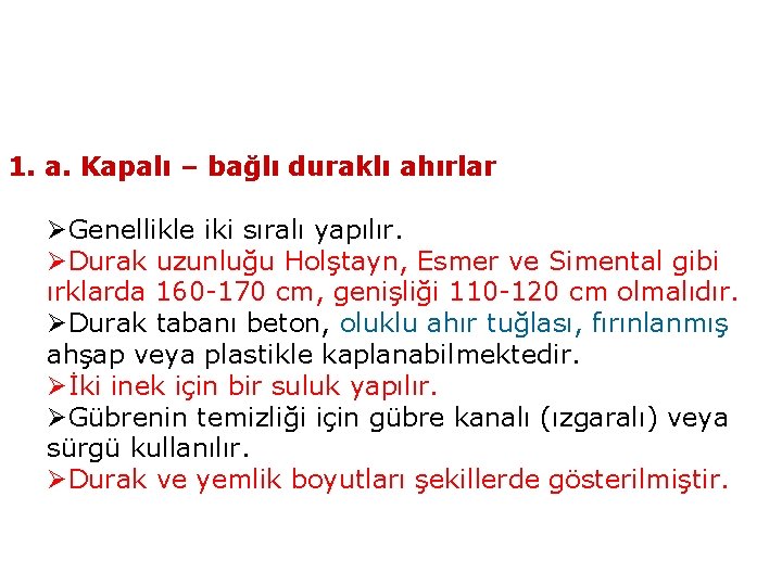 1. a. Kapalı – bağlı duraklı ahırlar ØGenellikle iki sıralı yapılır. ØDurak uzunluğu Holştayn,