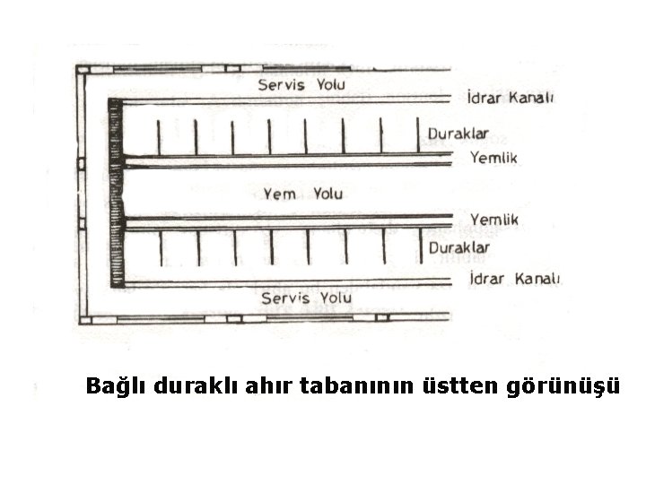 Bağlı duraklı ahır tabanının üstten görünüşü 