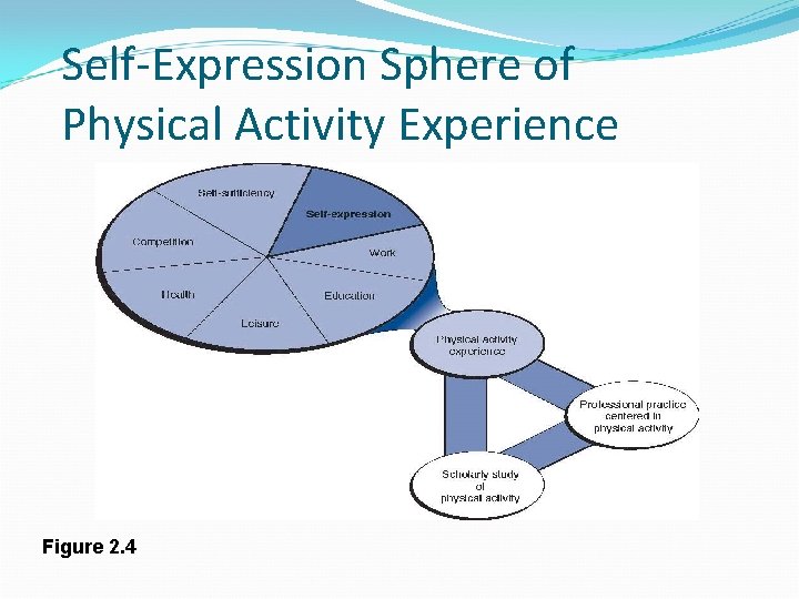 Self-Expression Sphere of Physical Activity Experience Figure 2. 4 