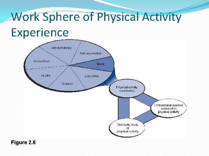 Work Sphere of Physical Activity Experience Figure 2. 6 