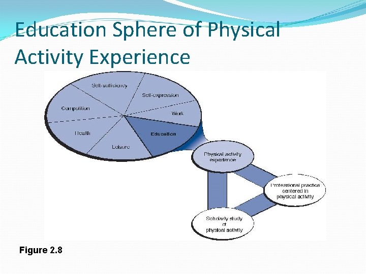 Education Sphere of Physical Activity Experience Figure 2. 8 