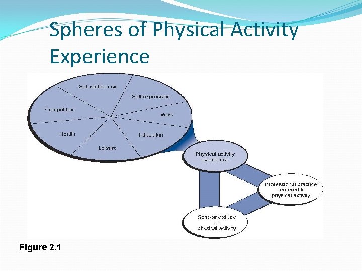 Spheres of Physical Activity Experience Figure 2. 1 