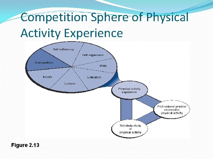 Competition Sphere of Physical Activity Experience Figure 2. 13 