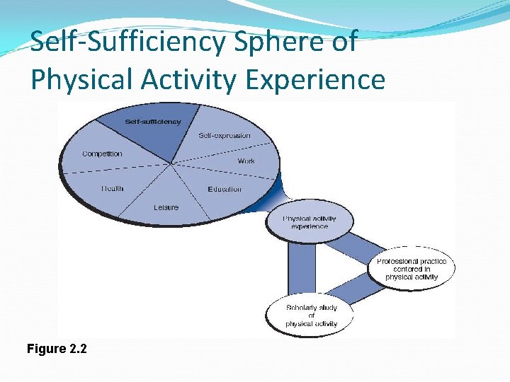Self-Sufficiency Sphere of Physical Activity Experience Figure 2. 2 