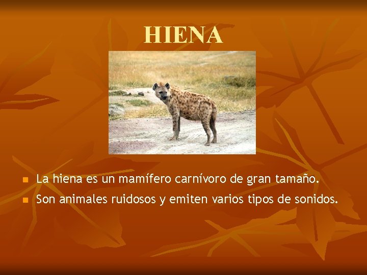 HIENA n La hiena es un mamífero carnívoro de gran tamaño. n Son animales