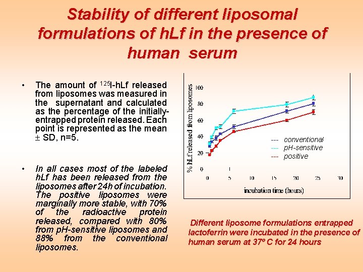 Stability of different liposomal formulations of h. Lf in the presence of human serum